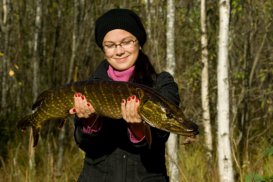 Algaja õnn