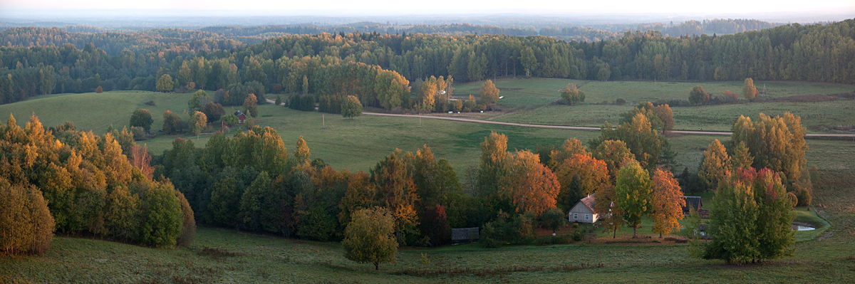 Rebasemõisa