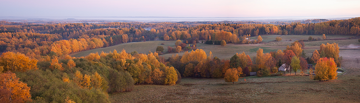 Rebasemõisa