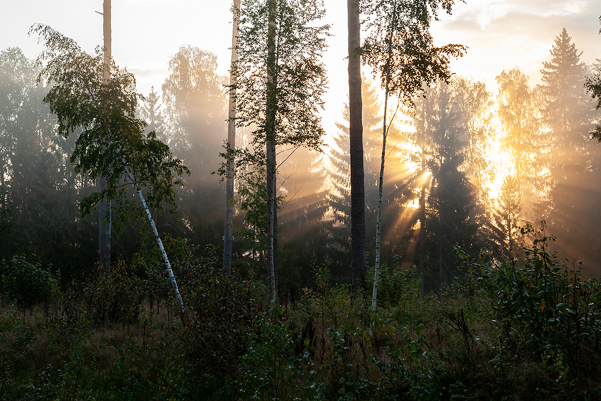 Päikesetõus