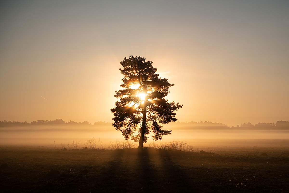 Päikesetõus