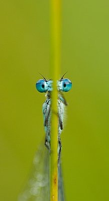 Kus tegijaid, seal nägijaid