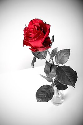 Palju õnne kõigile naistele