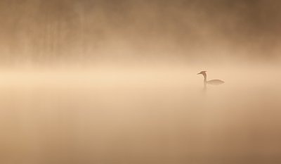 Tuttpütt pühajärvel