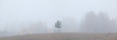 Nii vaikseks kõik on jäänud