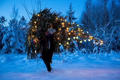Igaüks peab oma kuuske ise kandma 