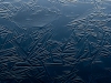 Jää