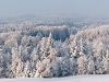 Kõige ilusam jõulupuu linna ei tule...